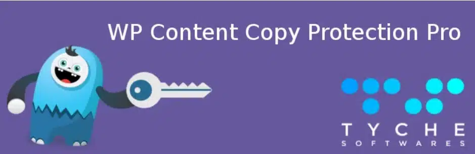 워드프레스 복사 방지 및 우클릭 방지 방법 5 WP Content Copy Protection