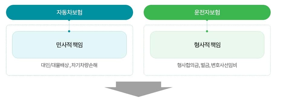 운전자보험 비교 및 추천(2024년) 3 운전자보험과 자동차보험 차이 비교