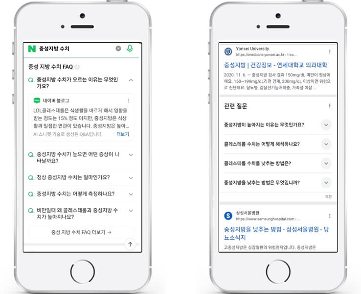FAQPage 중복 오류 문제 6 네이버 구글 FAQ 스키마 화면