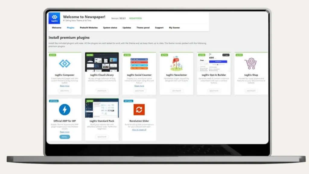 워드프레스 뉴스페이퍼 테마 리뷰 : 콘텐츠 사이트에 최적화된 테마 7 NEWSPAYPER Plugin