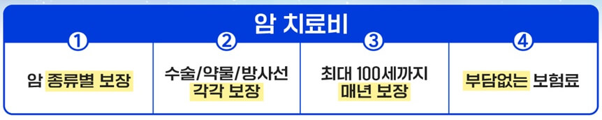 새로운 암 주요 치료비 보장 어카운트