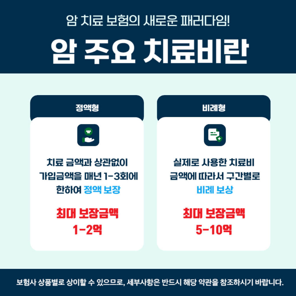 암 주요 치료비란