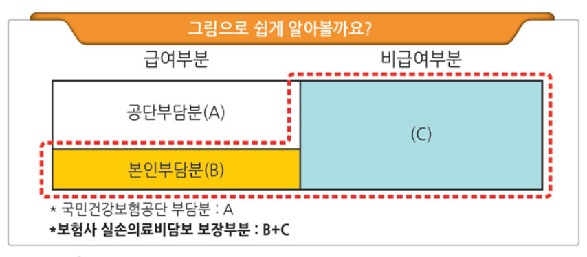 암 주요치료비란 무엇인가 13 급여와 비급여 구분