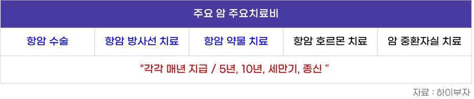 암 주요치료비란 무엇인가 23 주요 암 치료비 항목